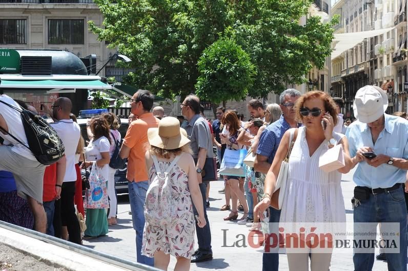 Cae parte del ficus de Santo Domingo en Murcia