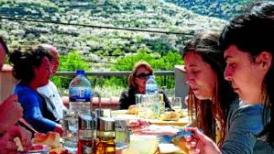 Las jornadas de la Picota en el Jerte reúnen a 14 restaurantes