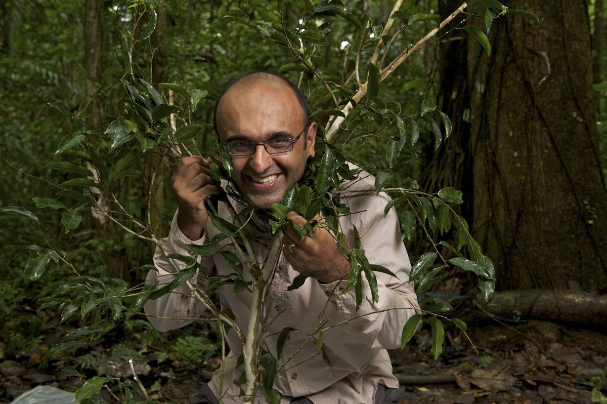 El investigador Yadvinder Malhi. El investigador Yadvinder Malhi.