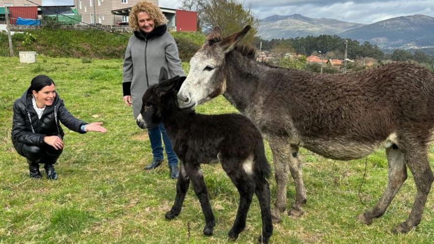 Jamili coa súa nai Begoña.   | //D.P.