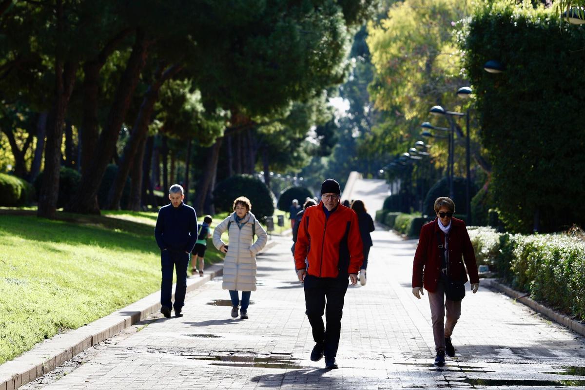 Valencia. Jardín del Turia Primer dia de Sol tras el temporal de frio y nieve VLC