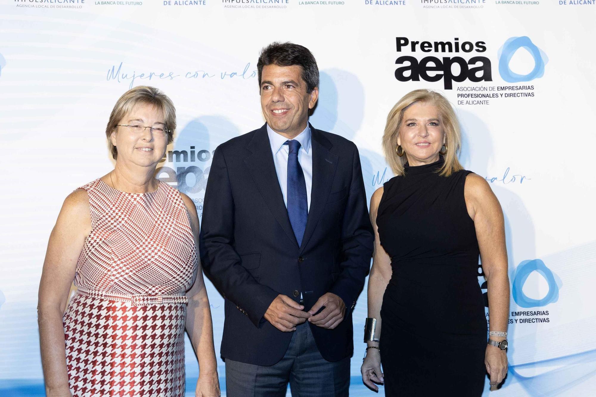 Gala de la entrega de Premios AEPA