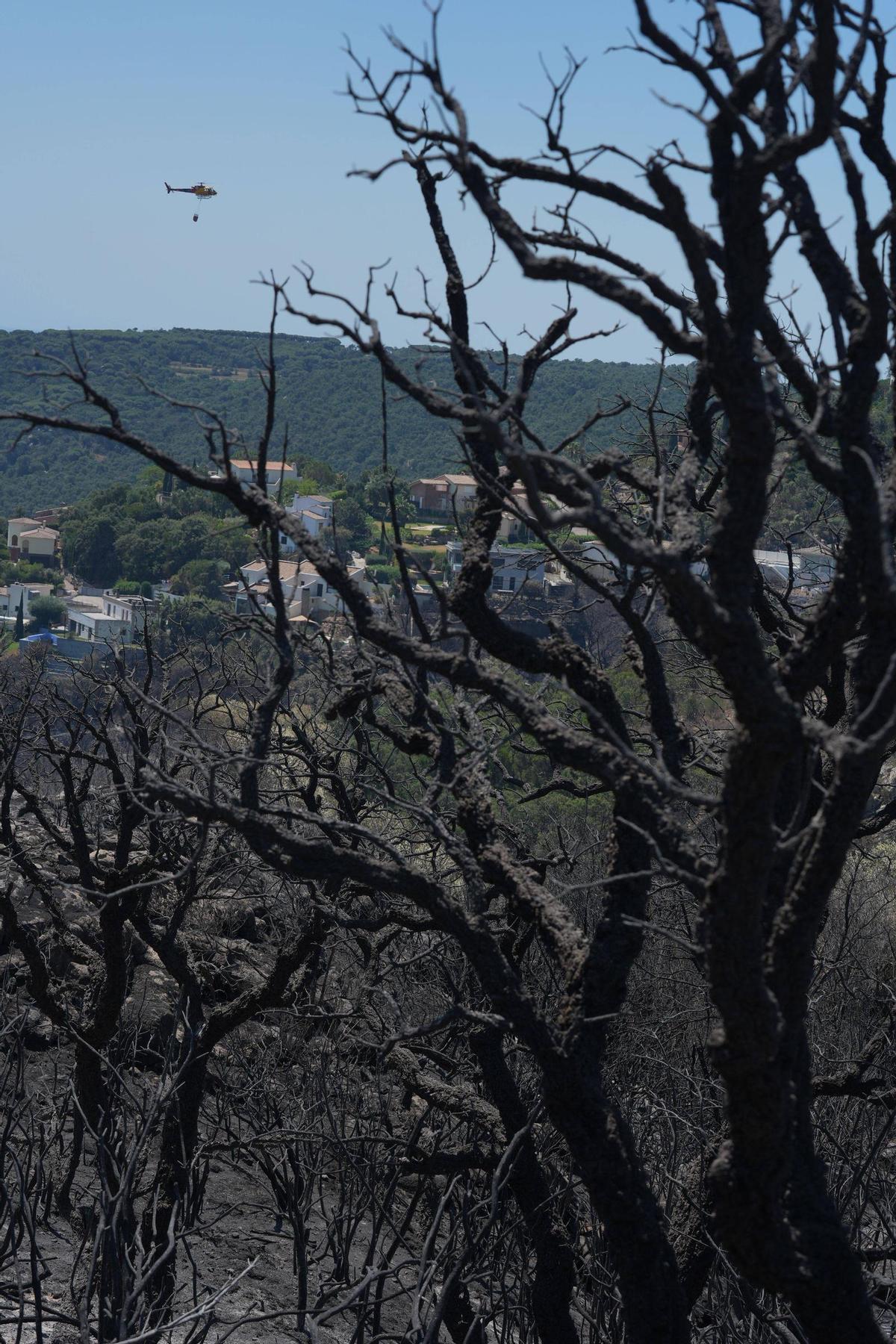 Galeria de fotos: l'incendi de les Gavarres calcina una casa a Calonge Galeria de fotos: l'incendi de les Gavarres calcina una casa a Calonge
