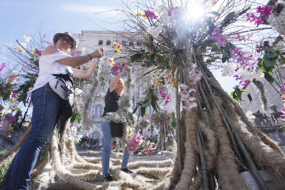 Últims preparatius pel Temps de Flors