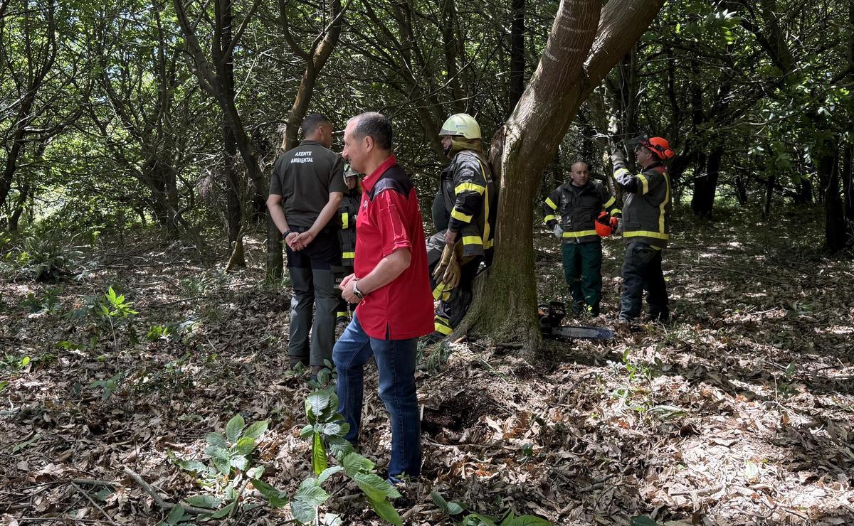 Parte del equipo que gestiona y realiza prevención de incendios en Bergantiños