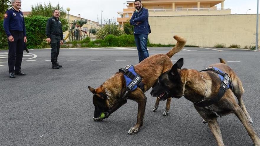 La unidad canina ha realizado más de 1.200 incautaciones de droga