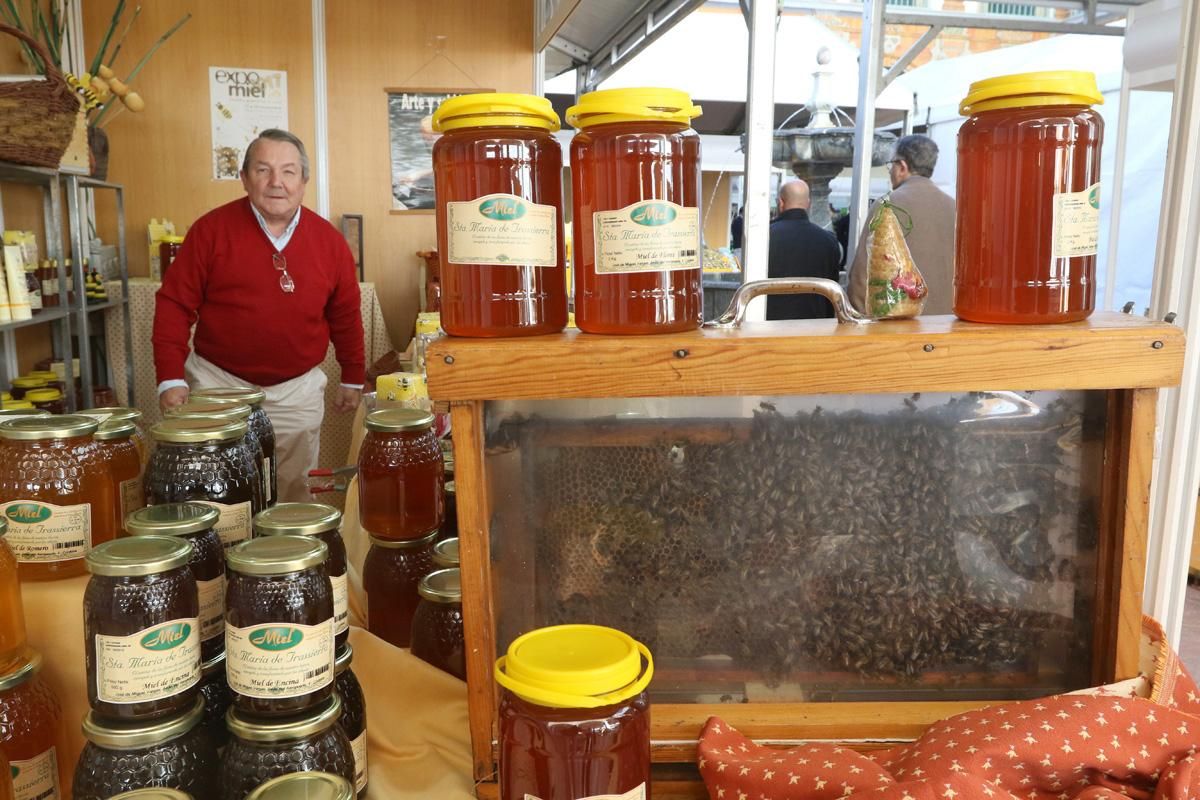 Nueva edición de Expomiel, en el Palacio de la Merced, con 16 estands