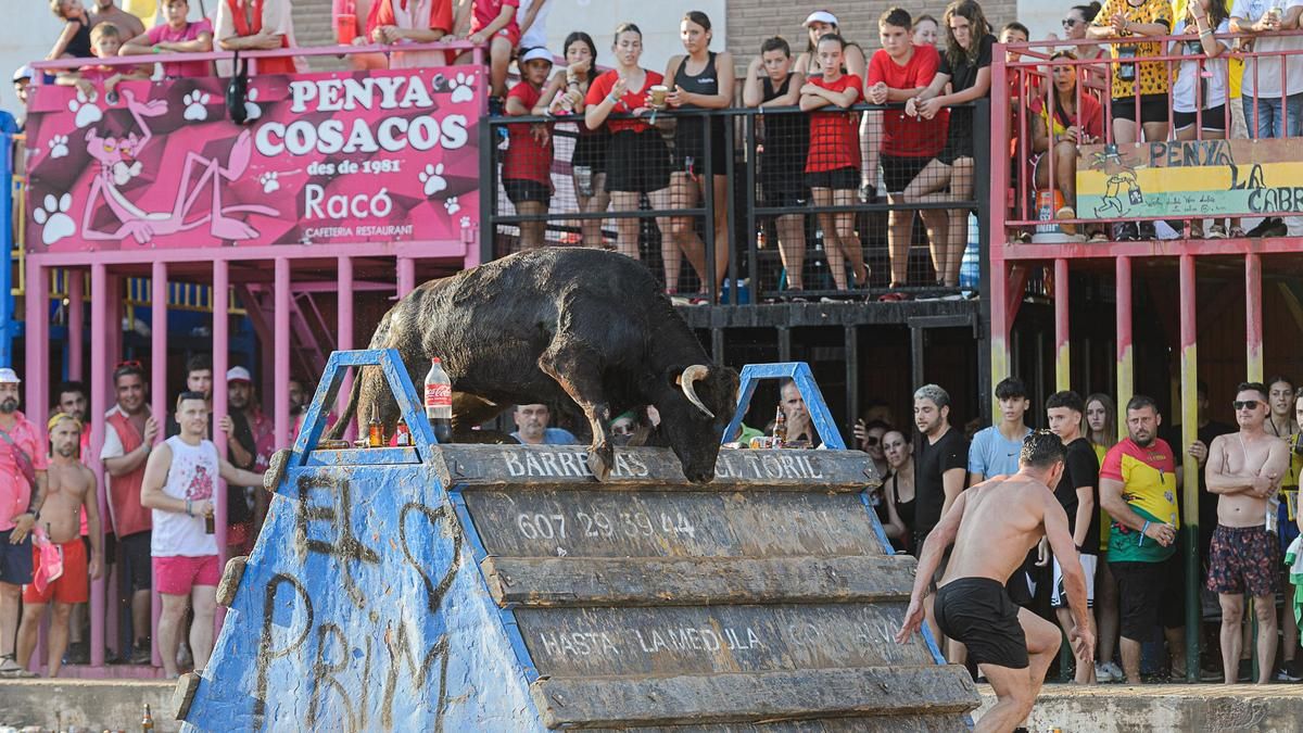 Foto de una jornada del concurso de ganaderías de les Penyes en Festes del año pasado.