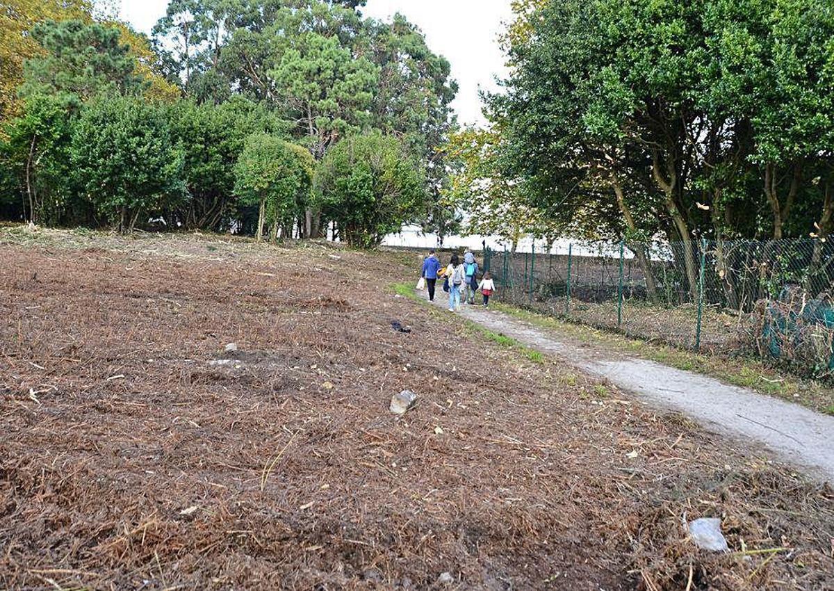 Abanca desbroza los terrenos de su propiedad en la zona de Massó