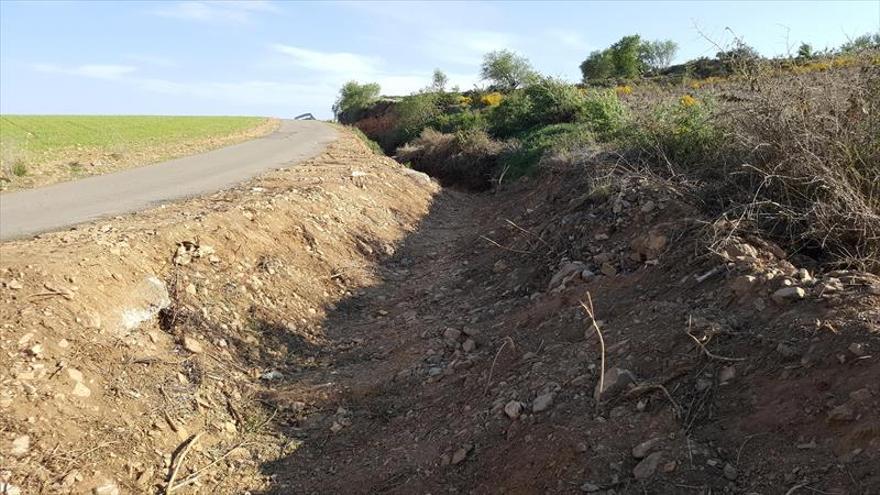 El ayuntamiento colabora en la erradicación de la plaga de conejos