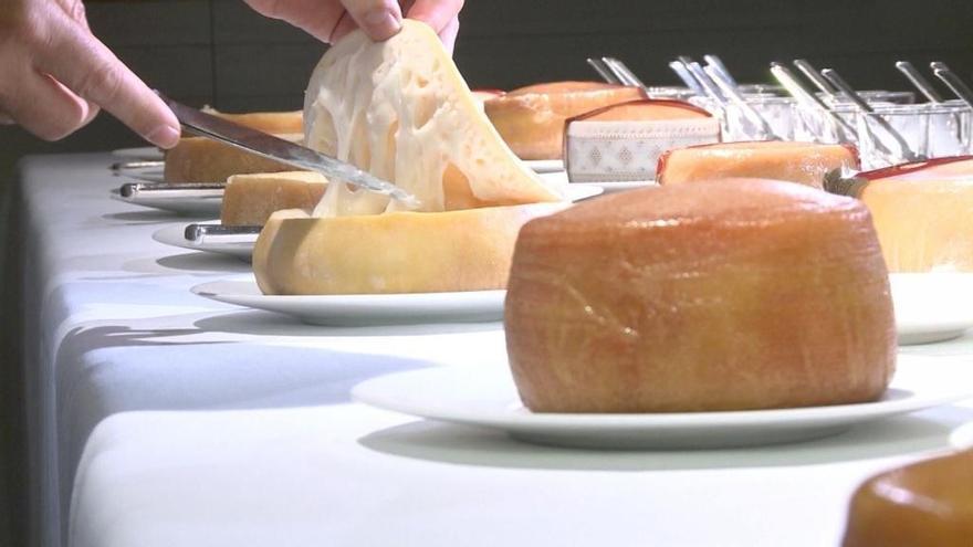 Iberqués de Casar de Cáceres gana la XIX Cata Torta del Casar