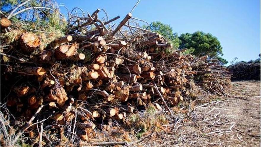 La Diputación de Málaga instalará calderas de biomasa en la Sierra de las Nieves