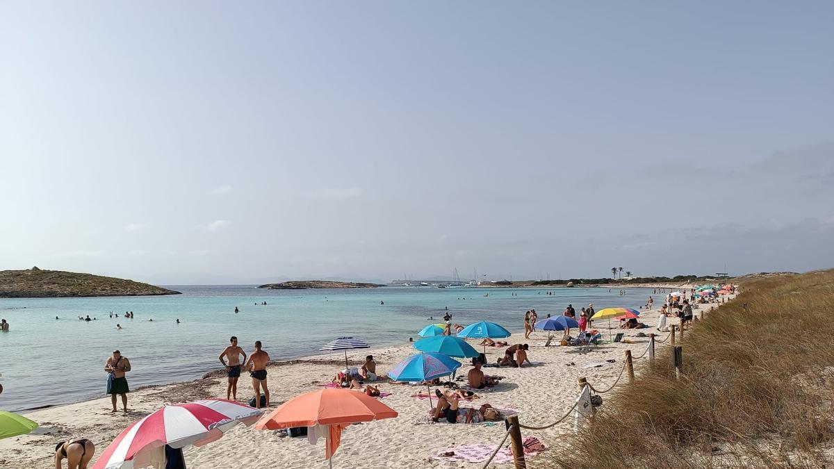 La playa de ses Illetes no ha tenido hamacas este verano.