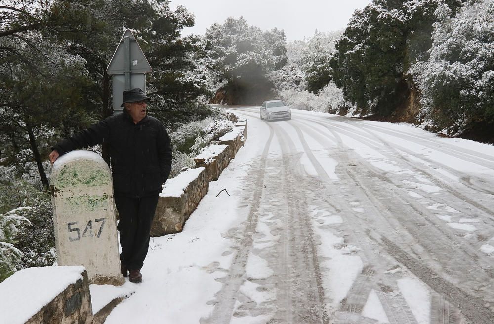 Las primeras nevadas llegan al Puerto del León, en los Montes de Málaga, que se sitúa a 900 metros de altura