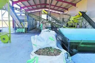 Naturduero aplaza inversiones previstas por la merma de la cosecha de pistacho en Toro