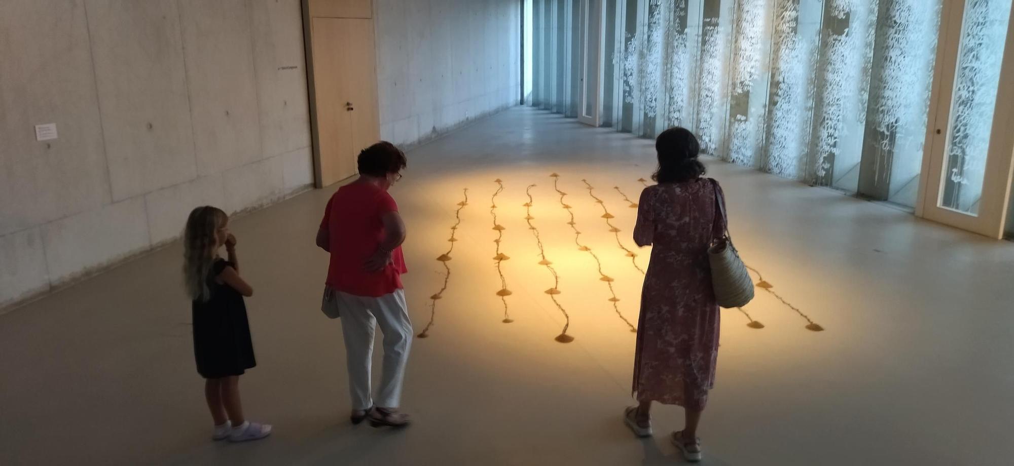 Arte que reflexiona sobre el paisaje de la Marina Alta: luz, tierra y mar y en el Auditorio de Teulada (imágenes)