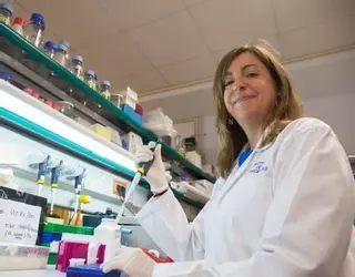 Nuevos enfoques frente al melanoma