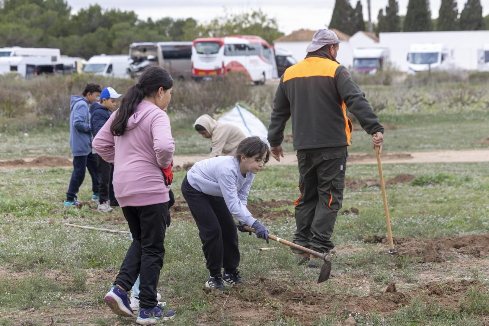 Jornada escolar plantación de especies autóctonas junto al parque natural de las lagunas de Torrevieja y La Mata