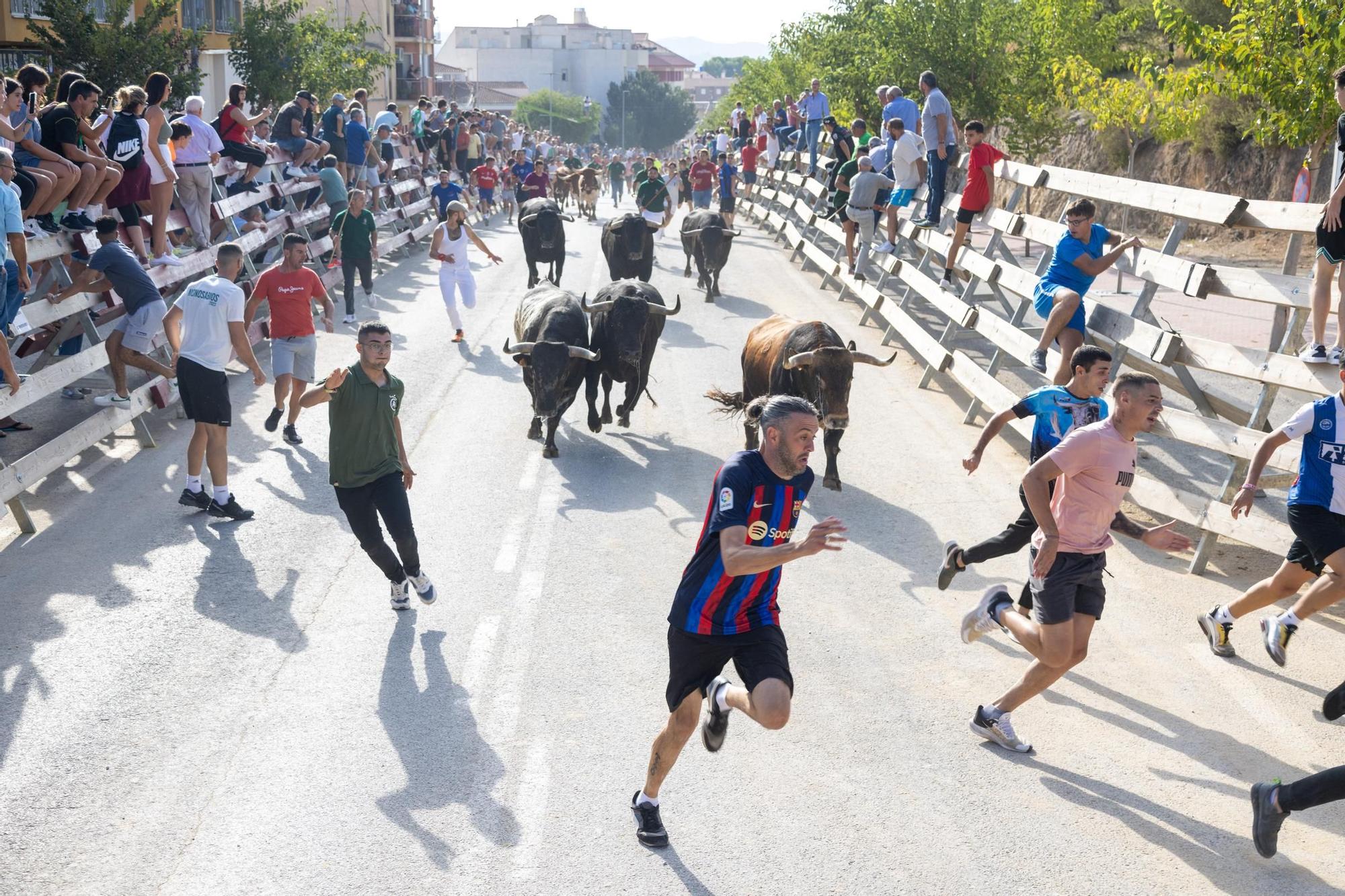 Cuarto encierro de la Feria Taurina del Arroz en Calasparra