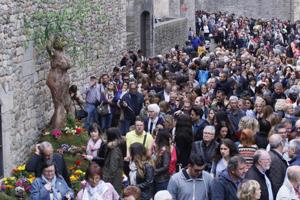 Girona floreix amb «Temps de Flors»