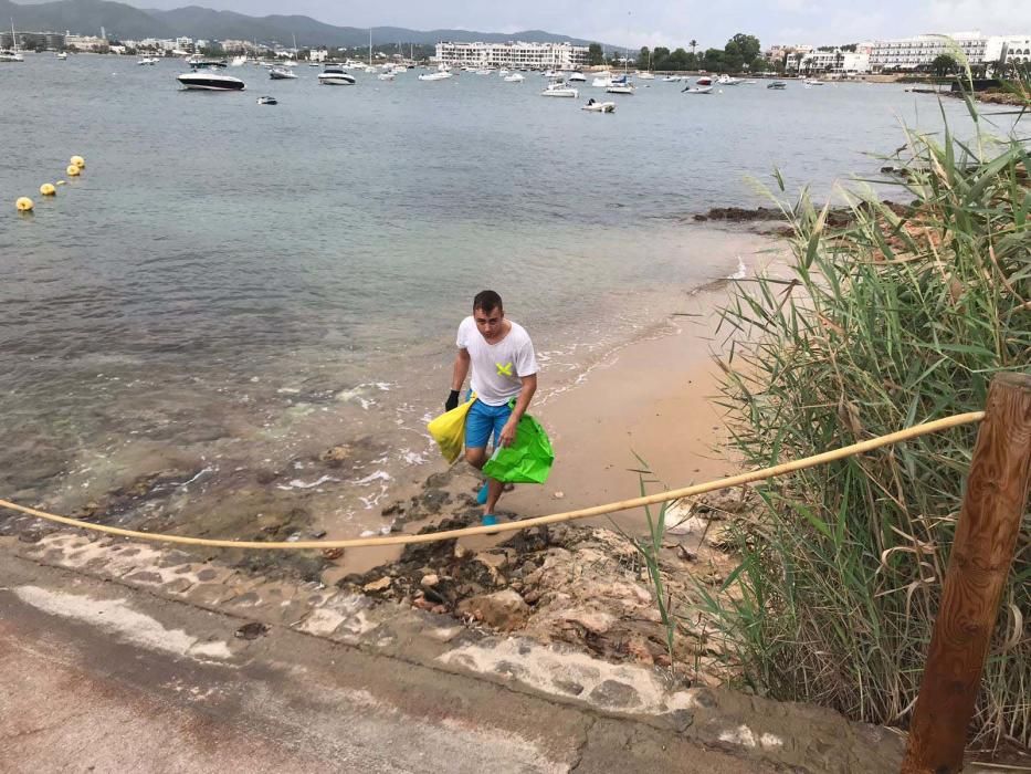 Pese a la tormenta, 1.500 personas, 500 más de las previstas, recogen dos toneladas de basura