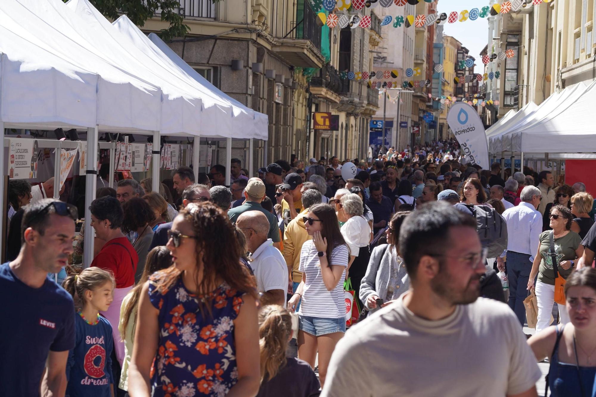 Zamora, de queso hasta la bandera