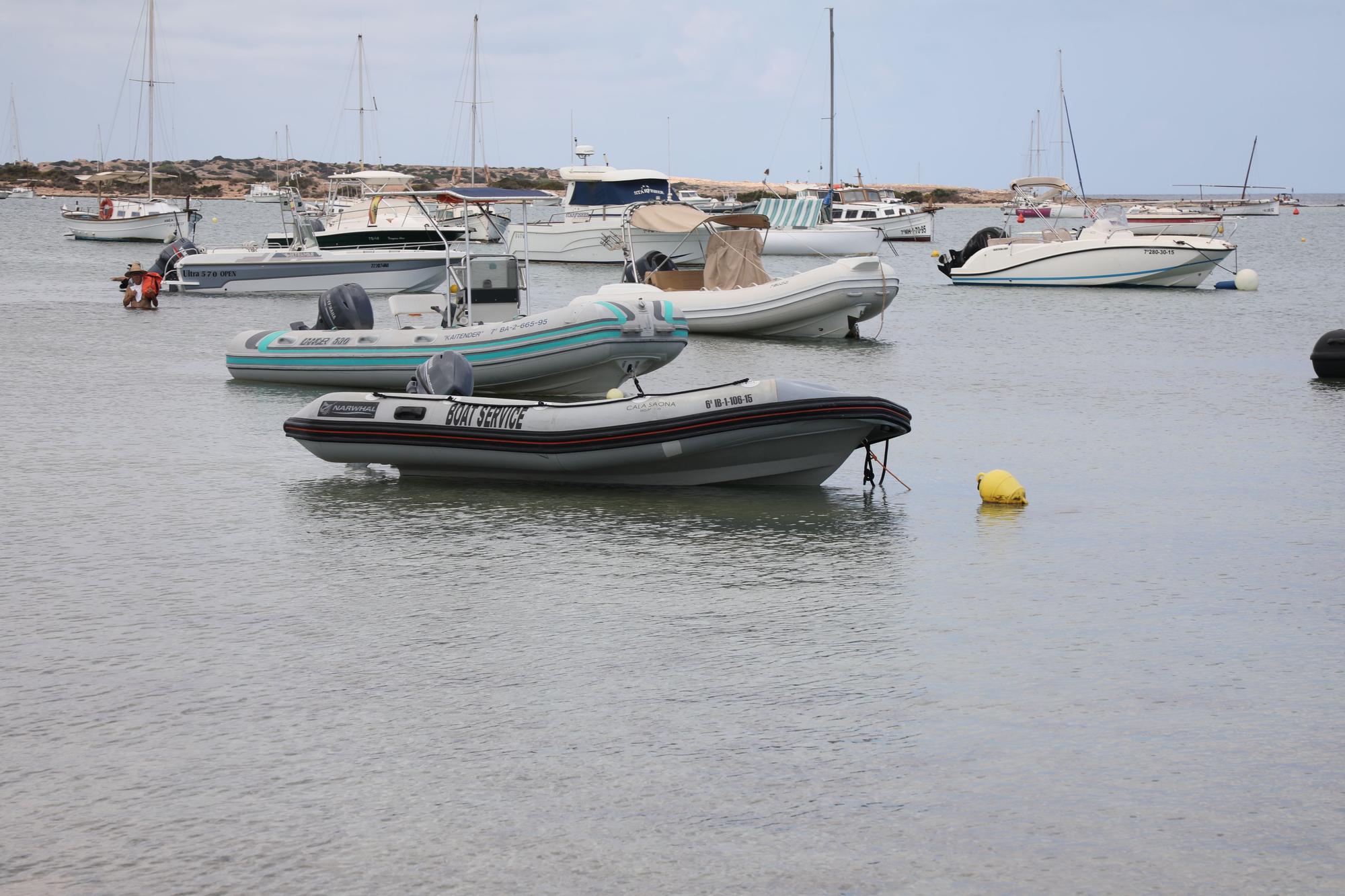 Así han aparecido siete barcos en s'Estany des Peix, en Formentera.