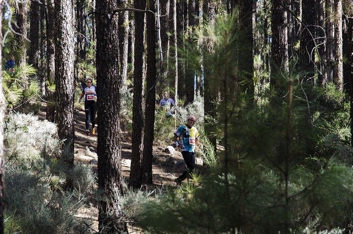 Cuarta y última etapa del Gran Canaria Orienteering Meeting