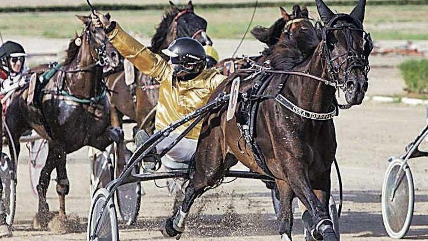 El conductor menorquín Josep Carreras en la celebración de su victoria ayer con el caballo francés Univers de Daidou.