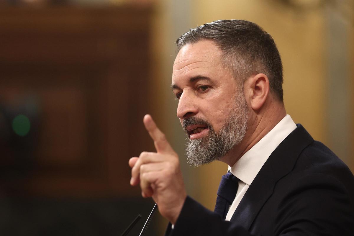 El presidente de VOX, Santiago Abascal, en una sesión de control al Gobierno , en el Congreso de los Diputados, a 11 de febrero de 2026, en Madrid (España).