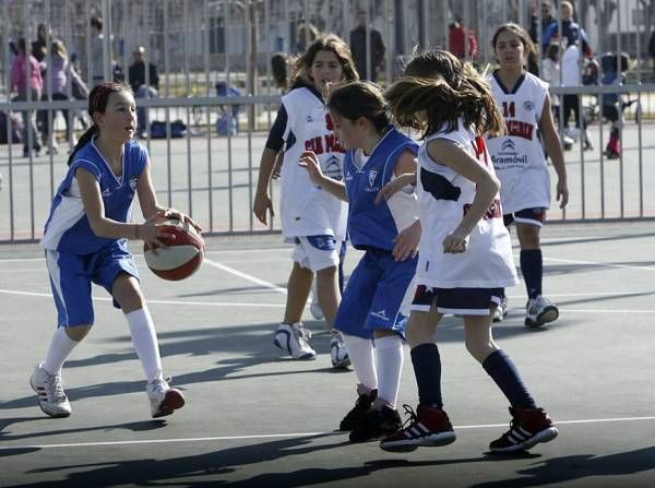 BALONCESTO: Maristas-Helios (liga de escuelas) / St Casablanca-Helios (preinfantil femenino)  / Compañía de María-Helios (benjamín femenino)  / Alierta-Helios (alevín femenino B)