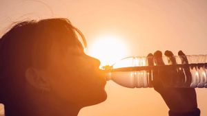 Recomanacions per combatre l’onada de calor: 10 consells del Ministeri de Sanitat
