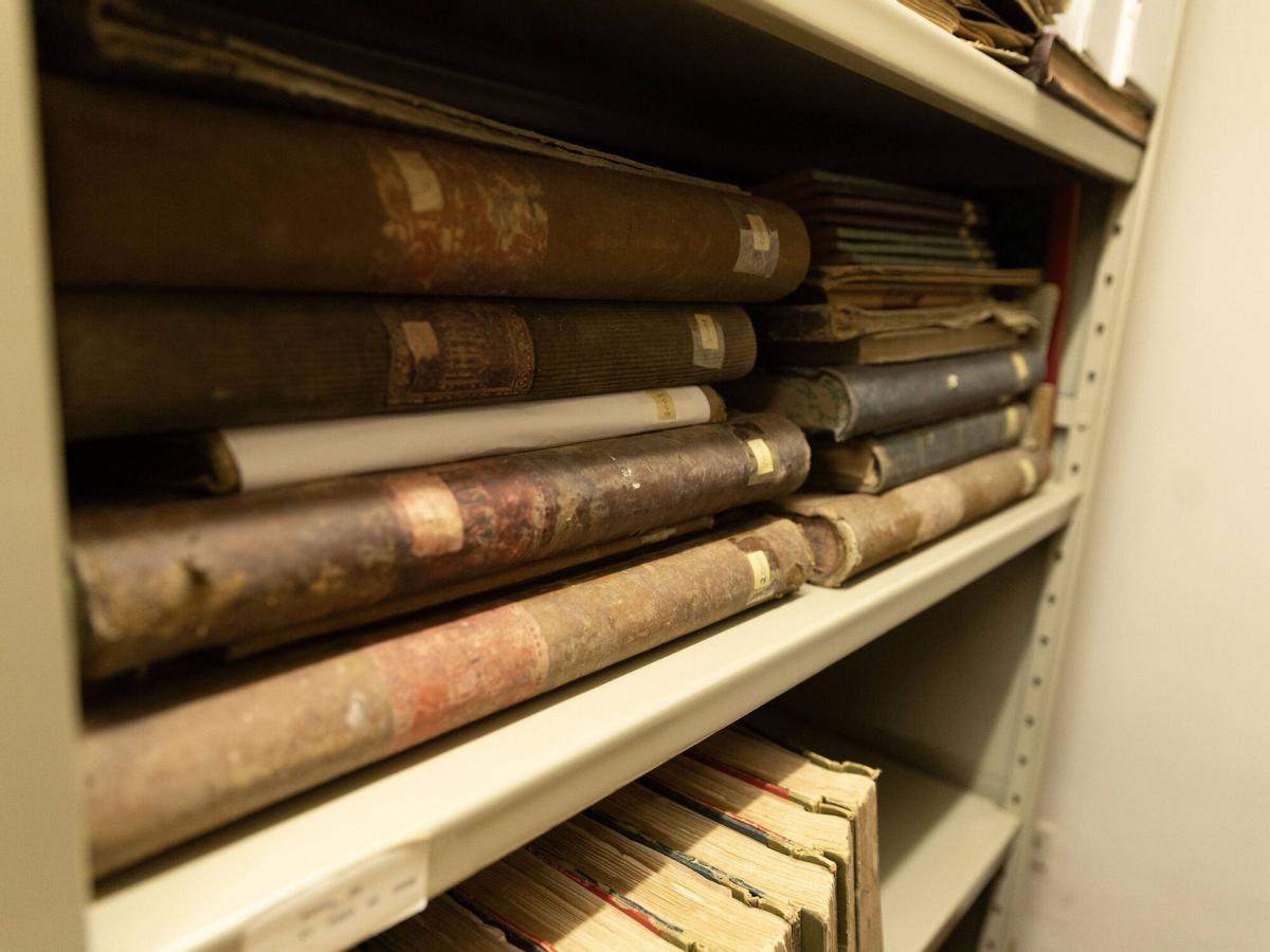Las mejores imágenes del archivo de Toro