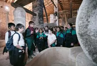 Son Torrella permite de nuevo visitar su 'tafona'