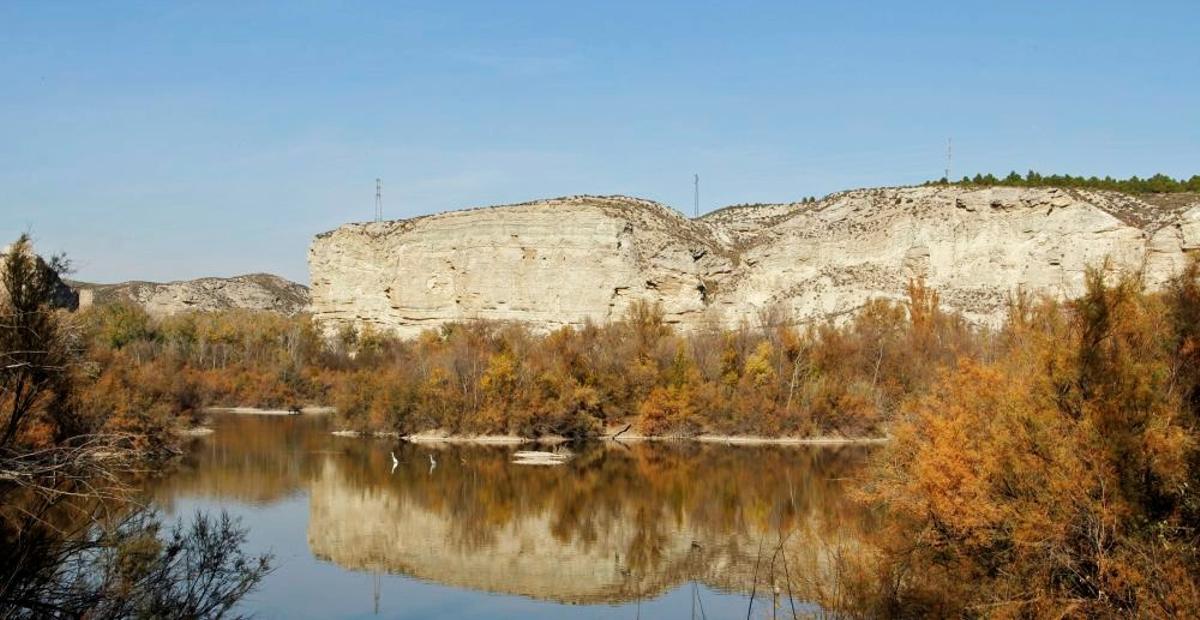 Galacho de Juslibol