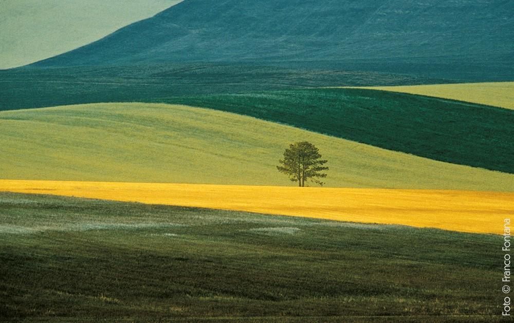 Franco Fontana