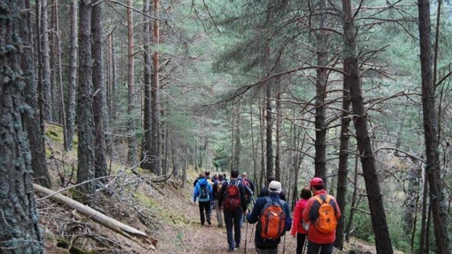 Pinós posa el Camins de la Sal al centre del debat turístic amb una jornada tècnica sobre l'economia de futur al territori