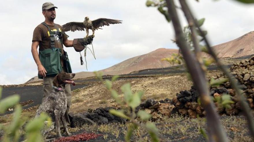 Arturo Santana (i), Víctor Viñoly, Marco Vergés y Óliver en el campo de entrenamiento de aves rapaces en Tinajo.  | javier fuentes