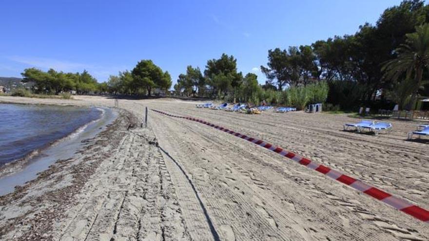 La zona de baño continuaba ayer precintada por parte del Ayuntamiento de Sant Josep para evitar la afluencia de turistas.