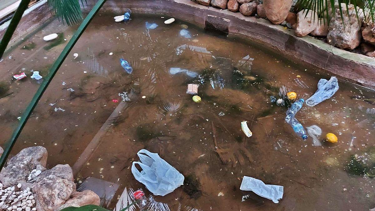 Una de las zonas del interior del hotel, llena de comida y bolsas de plástico.