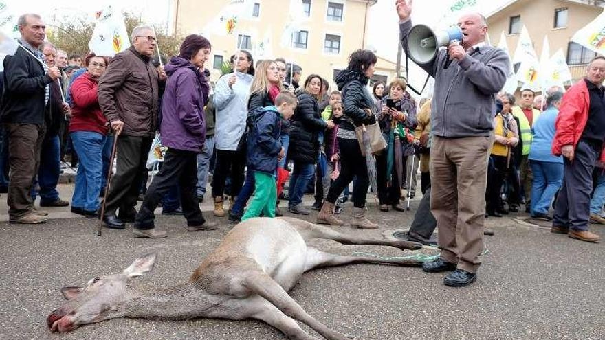 Manifestación contra la fauna salvaje.