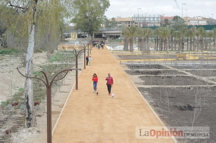 Alameda del Malecón: el entorno urbano del Segura estrena nuevo espacio verde