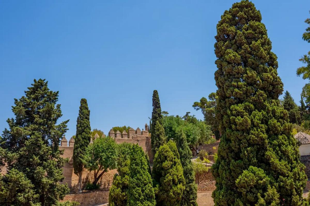 El parque forestal de Gibralfaro.