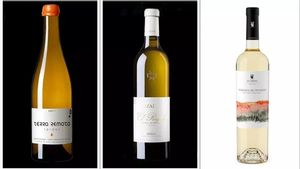 3 vinos blancos muy buenos... pero muy escasos.