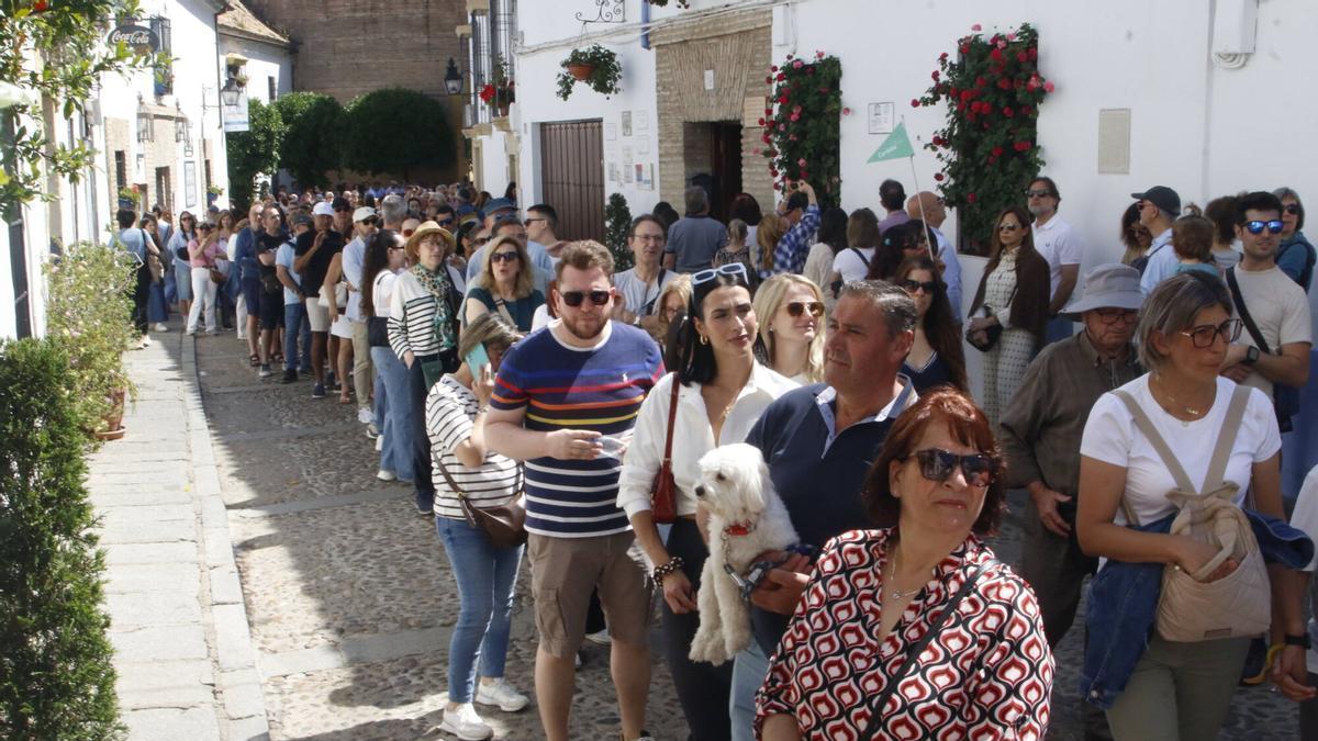 Ambiente el último día de la Fiesta de los Patios de Córdoba 2026.