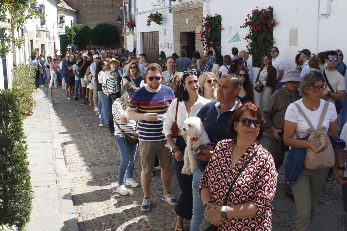 La fiesta de los Patios de Córdoba llega a su fin
