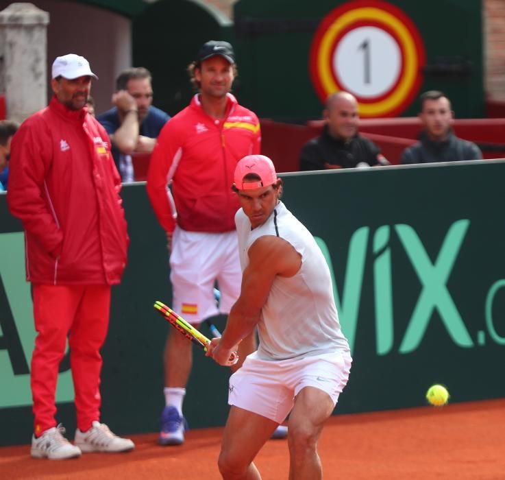 Rafa Nadal y David Ferrer entrenan en Valencia