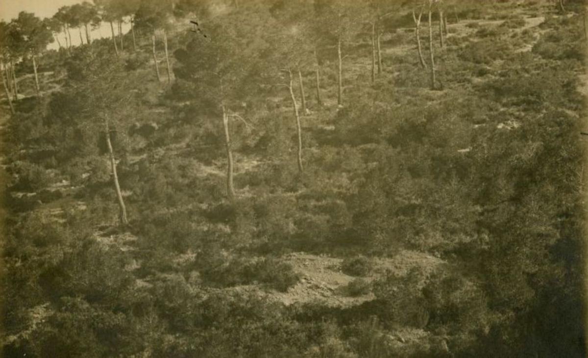 Barranco de la Linuesa (1920). |  |  L. O.