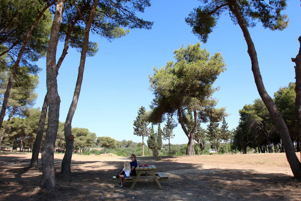 Inauguración del parque del Campamento Benítez.