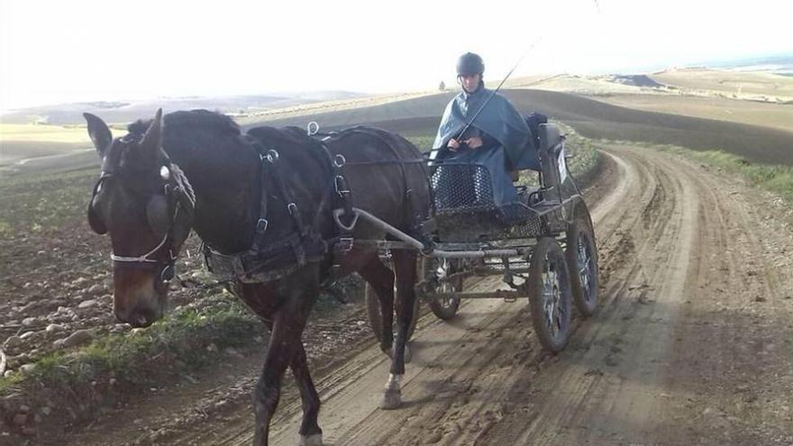 Triunfos de Cobos-Ramírez y Espejo-Berral en El Cañuelo